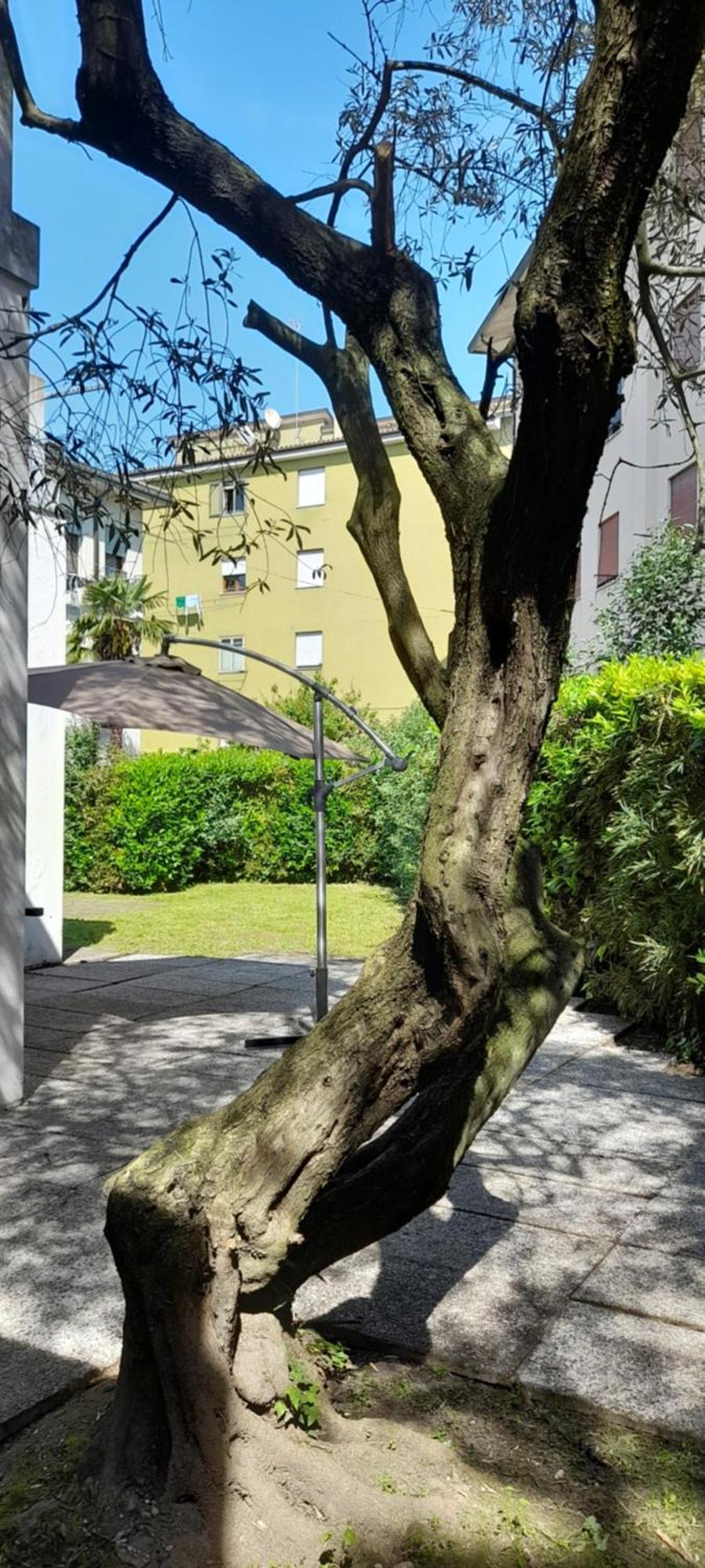 Villa Andrea Mestre Exterior foto